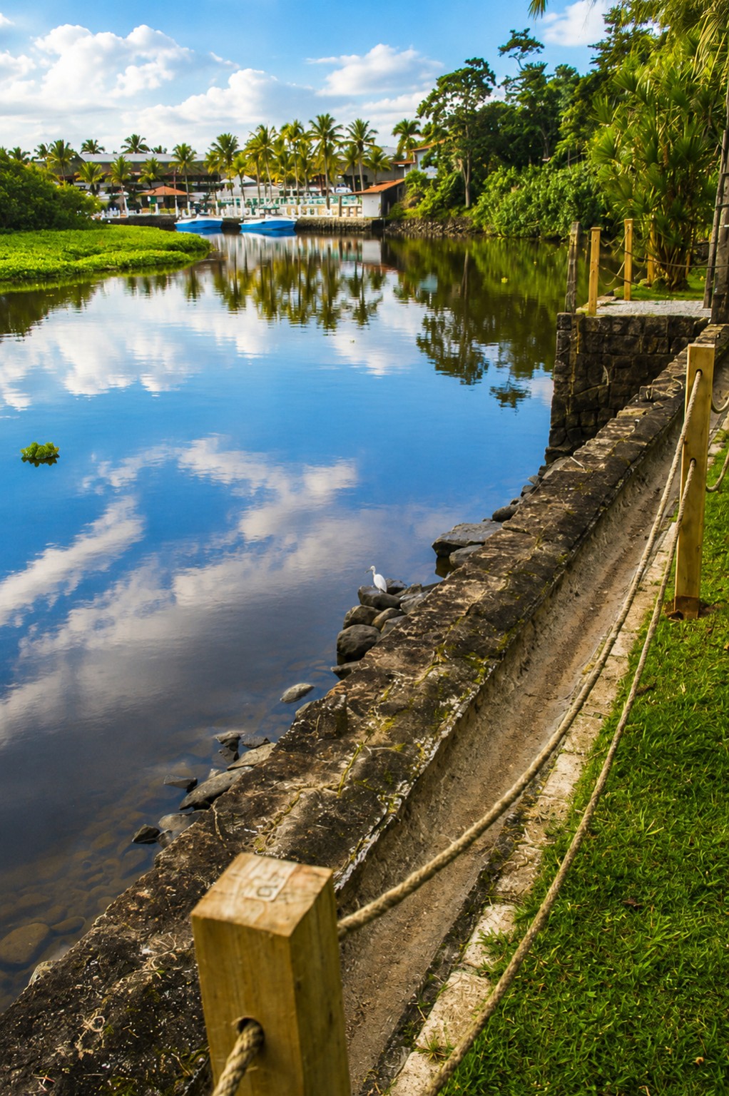Jardim à beira do Rio Juqueriquerê, fotografia 5