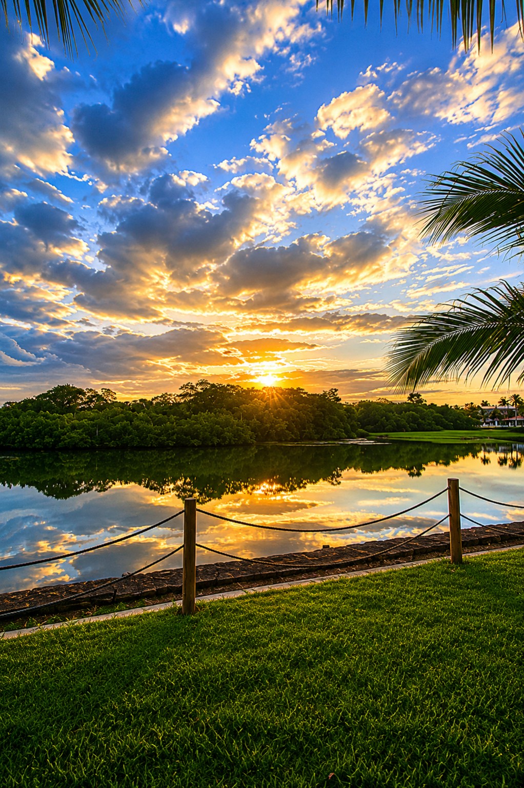 Jardim à beira do Rio Juqueriquerê, fotografia 6