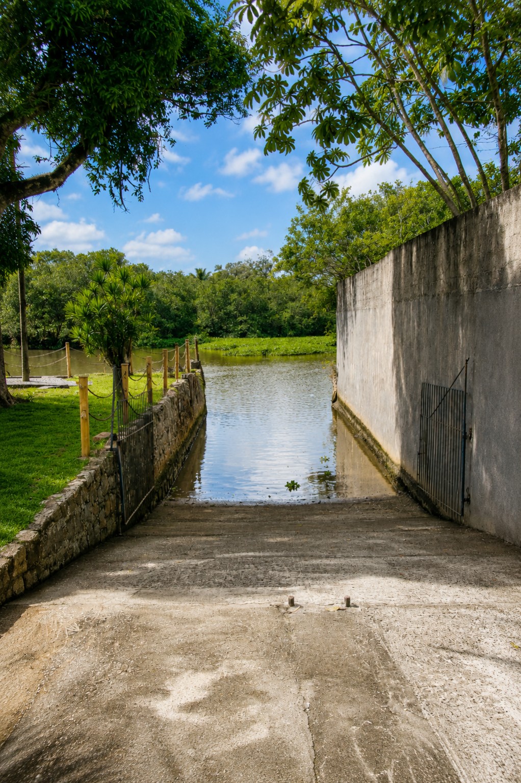 Jardim à beira do Rio Juqueriquerê, fotografia 8
