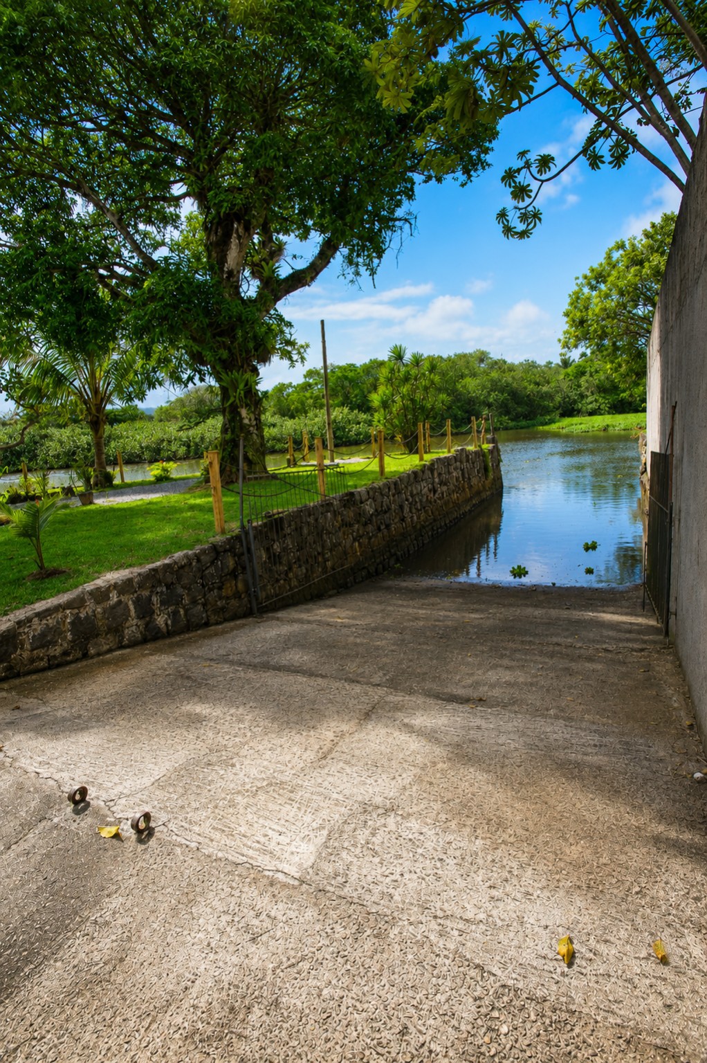 Jardim à beira do Rio Juqueriquerê, fotografia 9